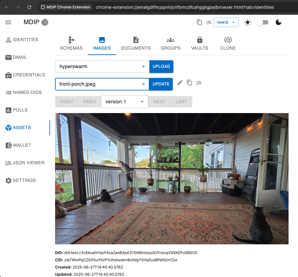 Chrome Extension Sample Screen